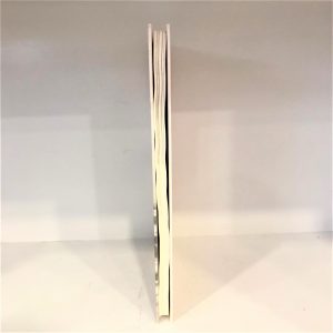 Livro - Cronicas de um Outro Tempo - Volume I