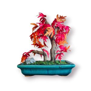 Mini Bonsai Artificial Bordo Vermelho (maple) – Decoração Elegante